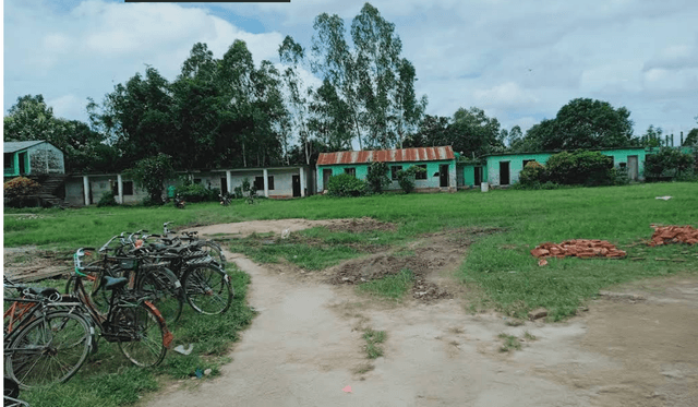 school